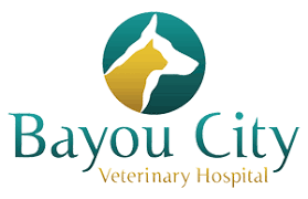 Come to the experienced team of veterinarians at animal er of northwest houston. Veterinarian In Houston Tx Bayou City Veterinary Hospital