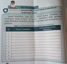 Di indonesia sendiri, kacang panjang merupakan jenis tanaman yang tumbuh baik apabila di budidayakan di musim penghujan. Aktivitas 1 8 Mengidentifikasi Jenis Gerak Tumbuhan Di Lingkungan Sekitartolong Bantu Jawab Brainly Co Id