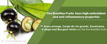 We have almost everything on ebay. Brazilian Native Fruit Trees Have Anti Inflammatory And Antioxidant Properties