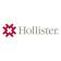 Hollister Incorporated logo