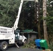 3174 north 1500 east road mahomet, il 61853. Heartwood Tree Service Opening Hours 3 1760 Shawnigan Lake Mill Bay Rd Shawnigan Lake Bc
