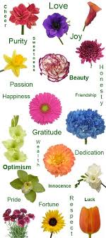 Irises are used in many gardens, and sometimes can be difficult to find in flower stores or plant nurseries. 11 What Do Flowers Mean Ideas Flowers Flower Meanings Language Of Flowers