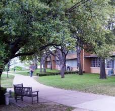 How Competitive Is University Of Dallas Admissions Process Catholic University Catholic Colleges University