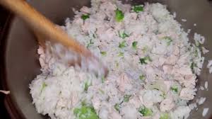 The vet has often prescribed a bland diet until his tummy returns to normal. Home Made Chicken Rice Broccoli Meal For Dog Bland Diet For Upset Stomach Youtube