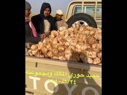 لقط فقع جيب شاص مليان زبيدي 1440 6 24 السبت youtube wood crafts material