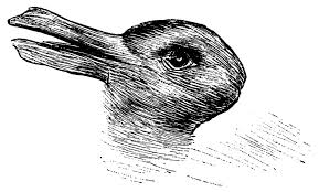 Duck Or Rabbit Optical Illusion Takes Social Media By Storm Daily Mail Online The big book of drawing animals: duck or rabbit optical illusion takes