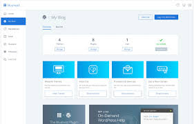 Bluehost – 'WordPress-Recommended' Hosting Provider