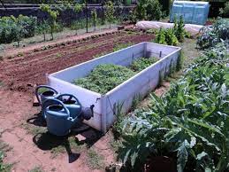 Il est toujours utile d'avoir un petit jardin potager chez soi. Louer Un Jardin Potager Tout Savoir Parcelle A Vendre