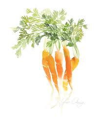 Carrot Top Watercolor Art Print Watercolor Art Art Prints Watercolor Art Prints