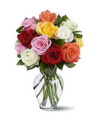 3 x stems emu grass 3 x stems rainbow roses 2 x stems happy leaf. Mixed Rainbow Roses At From You Flowers