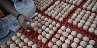 Pisahkan putih telur ayam, kemudian kocok hingga berbusa. Kenapa Anda Perlu Pikir Panjang Sebelum Mencoba Masker Telur Merdeka Com