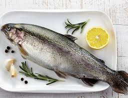 Fresh Himalayan Trout - Sweetstuff Gourmet Foods