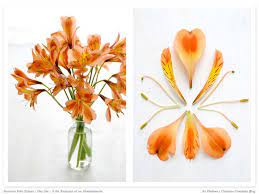 Home Creature Comforts Daily Inspiration Style Diy Projects Freebies Sugar Flowers Tutorial Paper Flowers Foam Flowers
