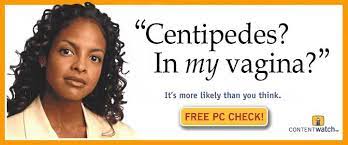 Centipedes In My Vagina It S More Likely Than You Think Know Your Meme