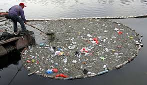 March 14 International Day Of Action For Rivers Pollution Pictures Water Pollution Pollution