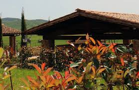 The village is surrounded by wheat fields, with olive trees and sunflowers but is just three. Ferienhaus Antico Borgo Casalappi Auf Campiglia Marittima