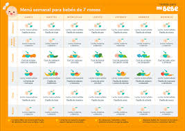 Cuanto Debe Comer Mi Bebe Cantidades Desde 6 Hasta 12 Meses