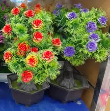 معرض زهرة شمال بنغازي للأدوات المنزلية معرض زهرة شمال بنغازي للأدوات المنزلية والكهربائية والتحف والهدايا Facebook