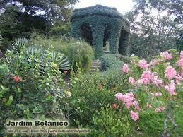 Resultado de imagem para Jardim BotÃ¢nico, Rio Hoje