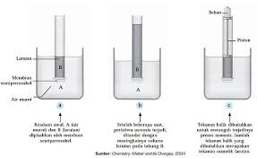 Apa Itu Tekanan Osmotik Kimia Kelas 12
