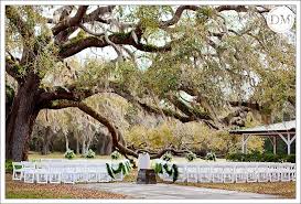 Pin By Visit St Augustine On Trees Of St Augustine Wedding Ceremony Location Wedding Photographers