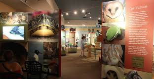 Clinic For The Rehabilitation Of Wildlife Crow Directions Must Do Visitor Guides Fort Myers Attractions Sanibel Florida Attractions
