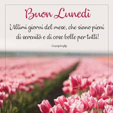 Servizio mette a disposizione diverse categorie da cui scegliere la cartolina da. 117 Immagini E Frasi Gratis Di Buon Lunedi Immagini Gratis