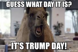 Guess what day it is? Guess What Day It Is It S Trump Day Geico Camel Hump Day Meme Generator