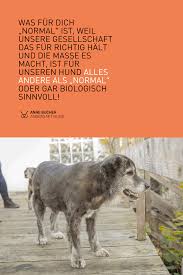 Bryce hall lil huddy kio cyr mattia polibio tony lopez tyler holder benji krol dixie. 5 Laufmuster Fur Dein Hundetraining Anne Bucher