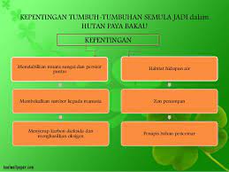 Ragam ⏩pengertian tumbuhan menurut para ahli ciri jenis manfaat contohnya baca ⏩.tumbuhan adalah organisme hidup yang menutupi sebagian besar daratan planet bumi. Power Point 1
