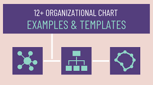 Use the diagram to show the structure of an organization and the relationships and relative ranks of its parts and positions/jobs. 12 Organizational Chart Examples Templates