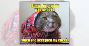 Image result for i can has cheezburger