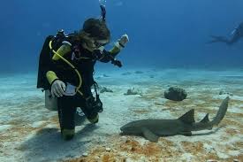 Swimming with Sharks in the Bahamas: My Most Magical Dive Yet | Scubaverse