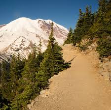 Burroughs mountain is located on the ne side of mount rainier between emmons glacier and winthrop glacier. Burroughs Mountain Trail Travel Off Path