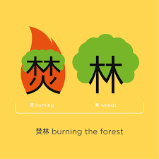 Chineasy Chinese Burning Forest Mandarin Chinese Learning Chinese Lessons Japanese Language Learning