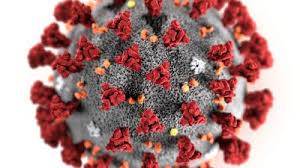 After taking samples, doctors posted at nodal hospitals may assess your physical health to decide whether hospitalisation is needed. Vaara Tieto Hysteria Ja Paniikki Leviavat Nopeammin Kuin Virus Itse Koronavirus Piirrettiin Tarkoituksella Hirviomaisen Pelottavaksi Kulttuuricocktail Yle Fi