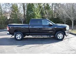 Image result for Power Tan 2020 Ram