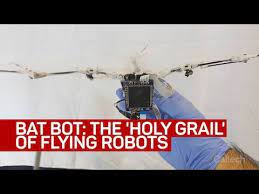 You can see more things in my blog. Bat Bot Flying Robot Takes To The Air Youtube