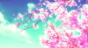 Life Is Like Sakuras And Love Is Like It S Nectar I Make Covers A Ngẫunhien Ngẫu Nhien Am In 2021 Anime Background Anime Scenery Anime Backgrounds Wallpapers