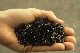 These are 31 of the best and easiest diy projects even beginners can use. Using Soil And Soil Mixes Successful Container Gardens University Of Illinois Extension