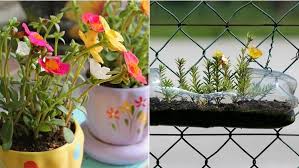 Tabulampot atau tanaman buah dalam pot merupakan metode penanaman tanaman buah menggunakan media pot yang diterapkan pada lahan sempit. Cara Menanam Bunga Krokot Dan Tips Merawatnya Agar Tak Dimakan Hama Beri Micin Di Tanahnya