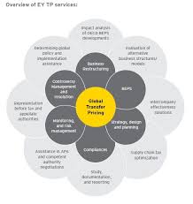 Overview Of Transfer Pricing Advisory Services By Ey India Transfer Pricing Operating Model Business Structure