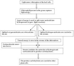 With The Help Of Chemical Equation Explain The Process Of