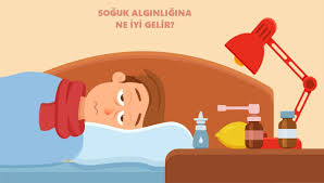 Soguk Alginligi Nezle Belirtileri Ve Soguk Alginligina Ne Iyi Gelir Diye Merak Edenler Bitkisel Cozumlerle 24 Saatte Nezle Nasil Gecer Cevabi Makale Family Guy