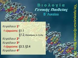 1) σχετικά με την ποικιλία των διαφορετικών μονομερών. Bio Logoyme Biologia B Lykeioy