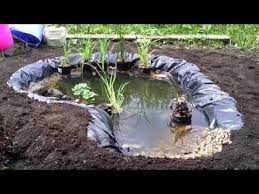How To Build A Natural Looking Garden Fish Pond With Waterfall Youtube Ponds Backyard Garden Pond Design Small Water Gardens