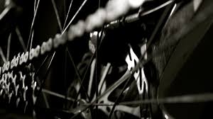 Mtb Wallpapers Top Free Mtb Backgrounds Wallpaperaccess Mtb Wallpapers Hd 1600x900 Download Hd Wallpaper Wallpapertip A collection of the top 64 mtb wallpapers and backgrounds available for download for free. mtb wallpapers top free mtb backgrounds
