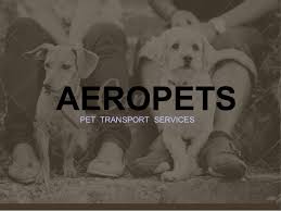 Welcome to pet transport pro contact us pet transport pro is made up of highly experienced i'm tricky to get a hold of, scheduling is a nightmare, and getting paperwork signed in a timely manner is near impossible. Aeropets Pet Transport Services
