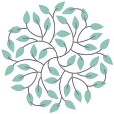 Peter damico began skin care fort worth in 2005. European Skincare Med Spa Fort Worth Tx Skincare Massage Spa
