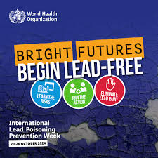 Image result for Lead Poisoning